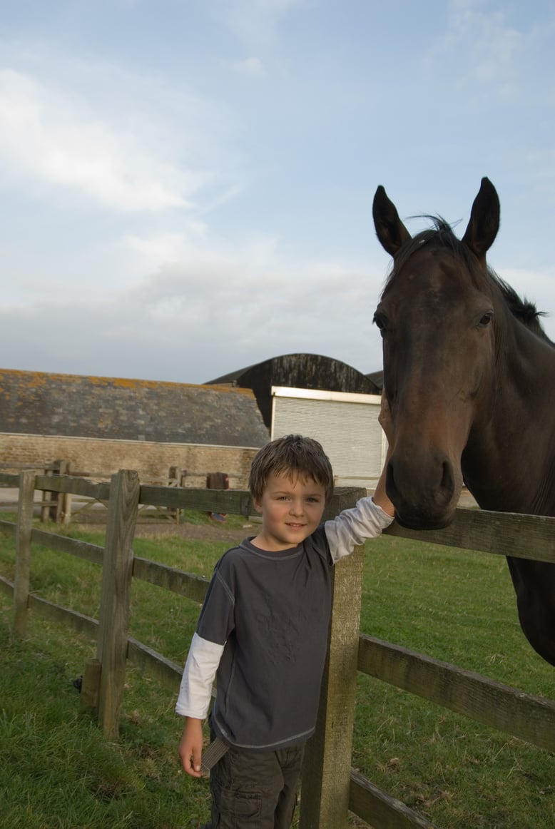 boy with horse